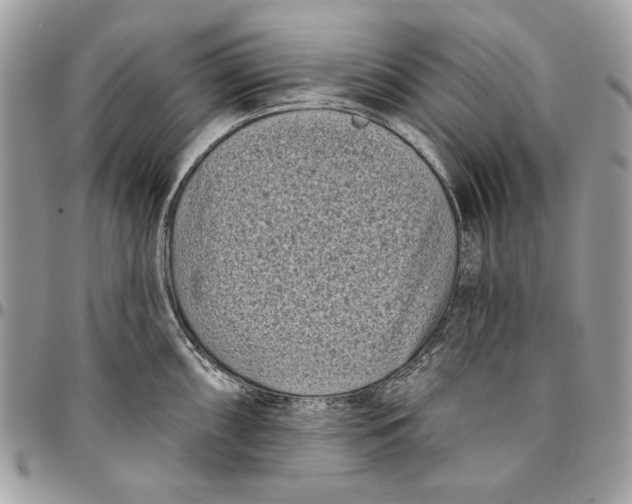 X0000096211098200802081456