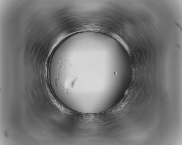 X0000096211099200802081456