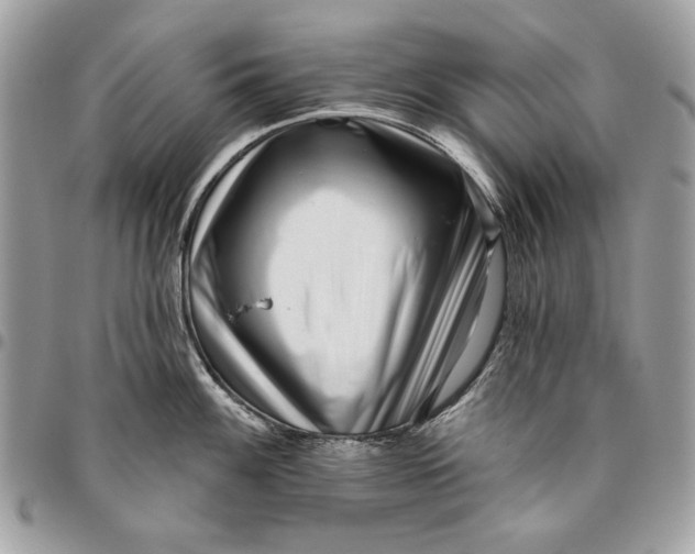 X0000096211100200802081456