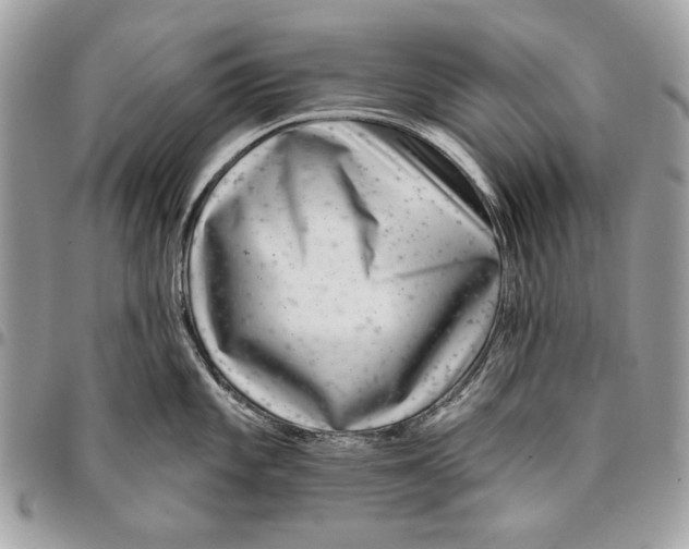 X0000096211101200802081456