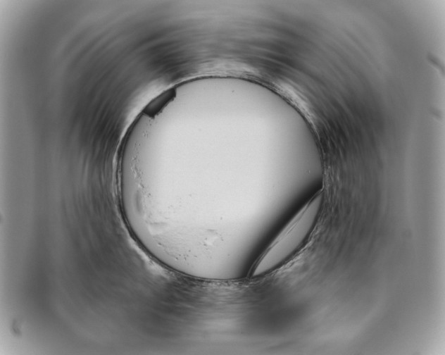 X0000096211103200802081456