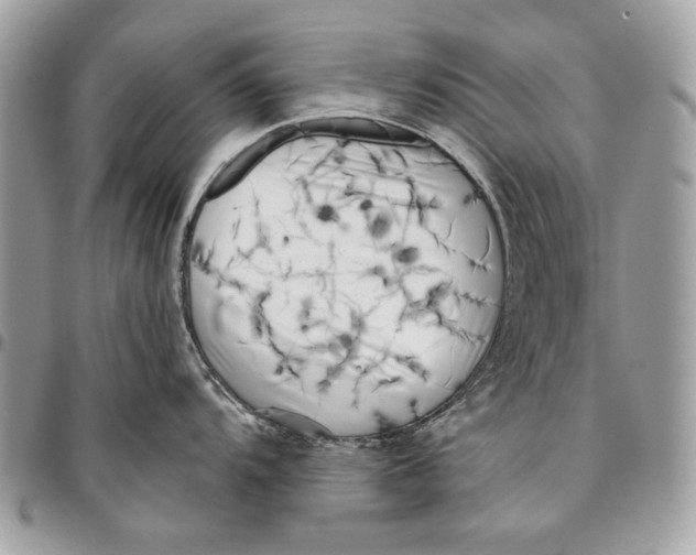 X0000096211104200802081456