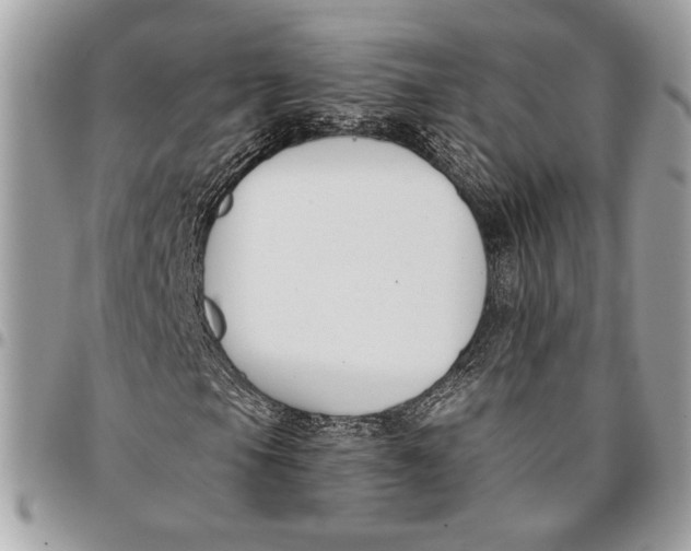 X0000096211105200802081455