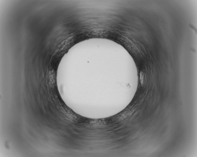 X0000096211107200802081455