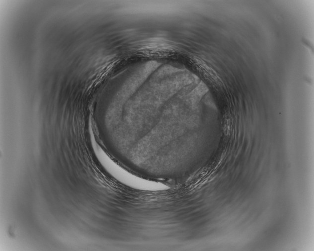 X0000096211108200802081455