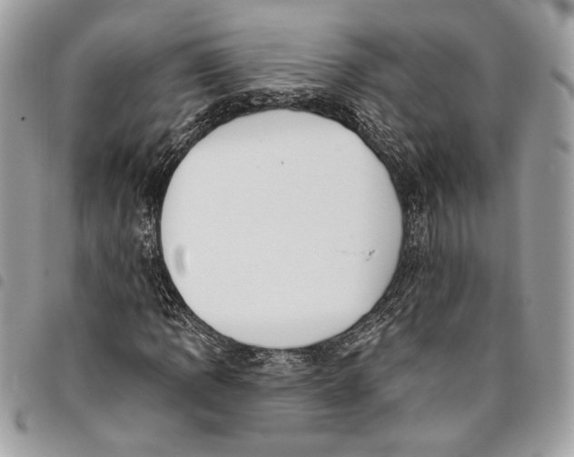 X0000096211109200802081455