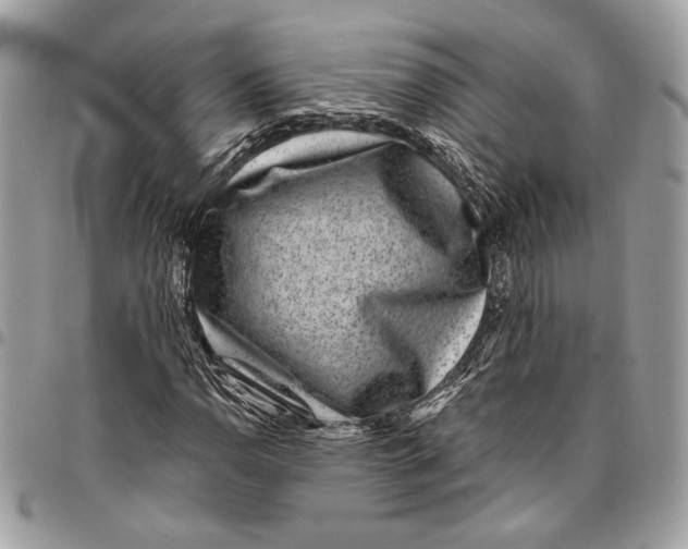 X0000096211110200802081455