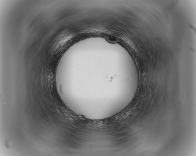 X0000096211111200802081455