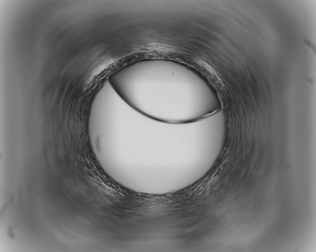 X0000096211112200802081455