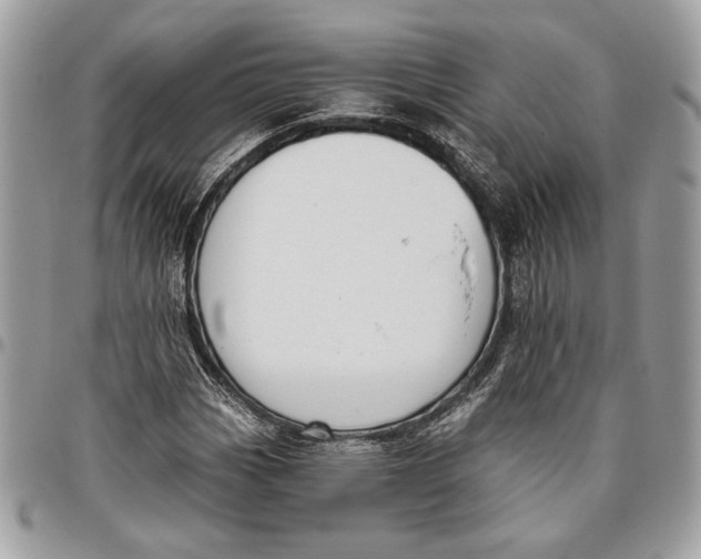 X0000096211113200802081455