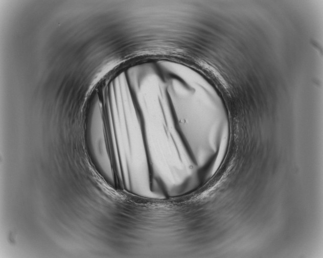 X0000096211114200802081455