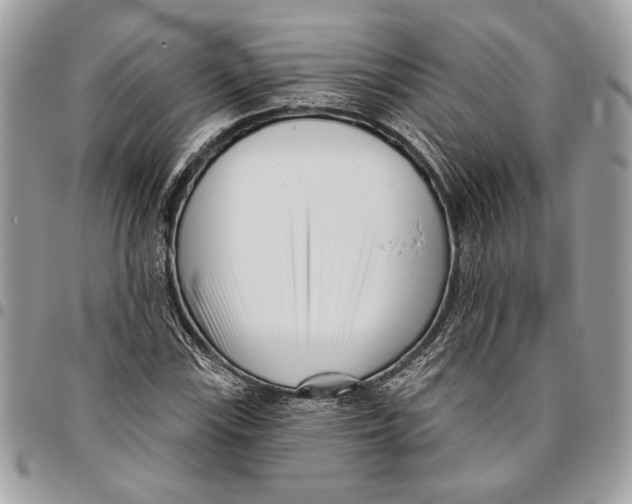 X0000096211115200802081455