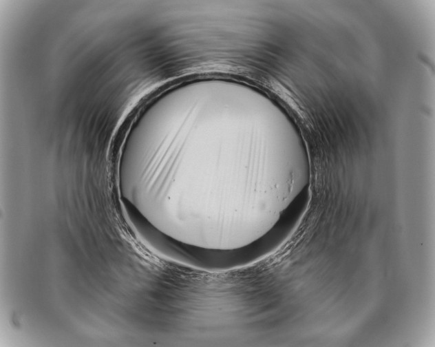 X0000096211116200802081455