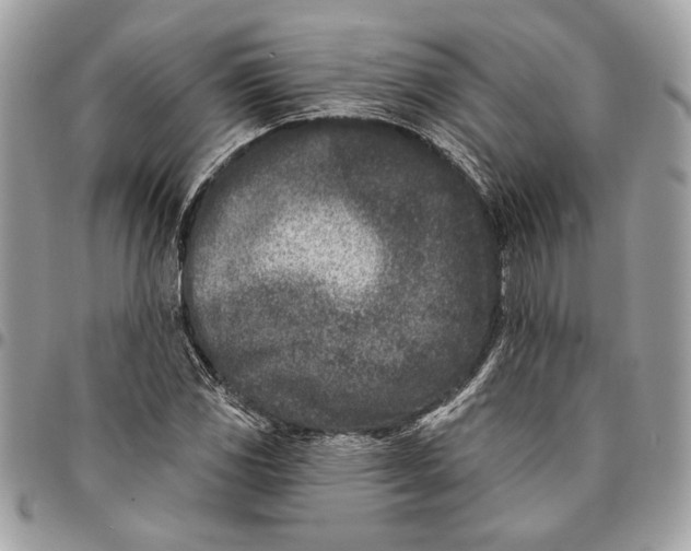 X0000096211117200802081455