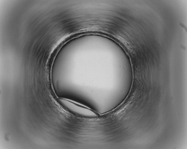 X0000096211118200802081455