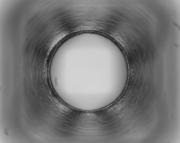 X0000096211119200802081455