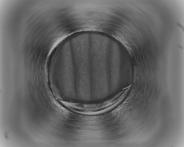 X0000096211120200802081455