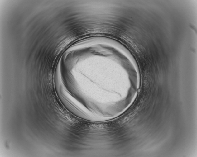 X0000096211121200802081455