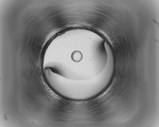 X0000096211122200802081455