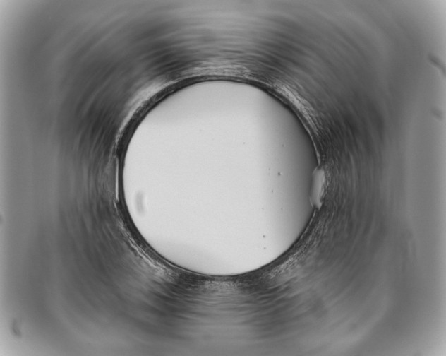 X0000096211123200802081455