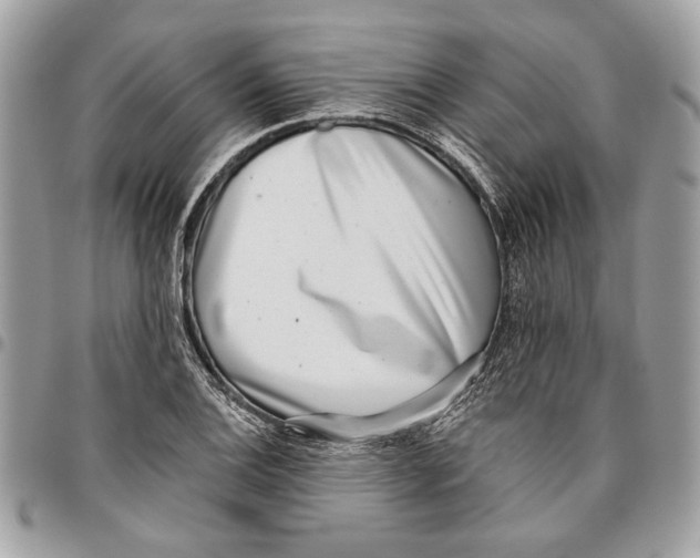 X0000096211124200802081455