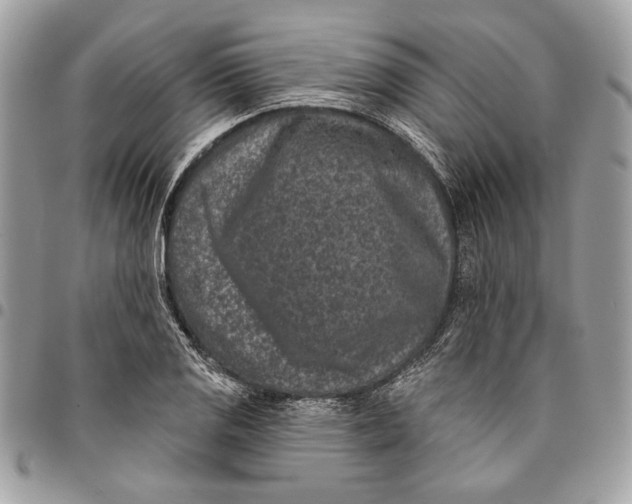 X0000096211125200802081455