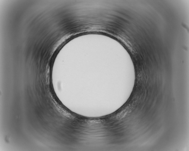 X0000096211126200802081455