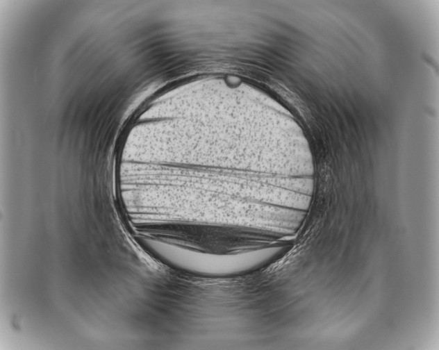 X0000096211127200802081455