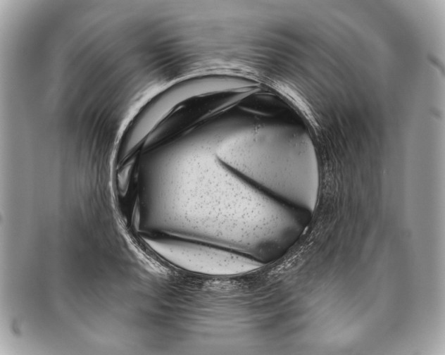 X0000096211128200802081455