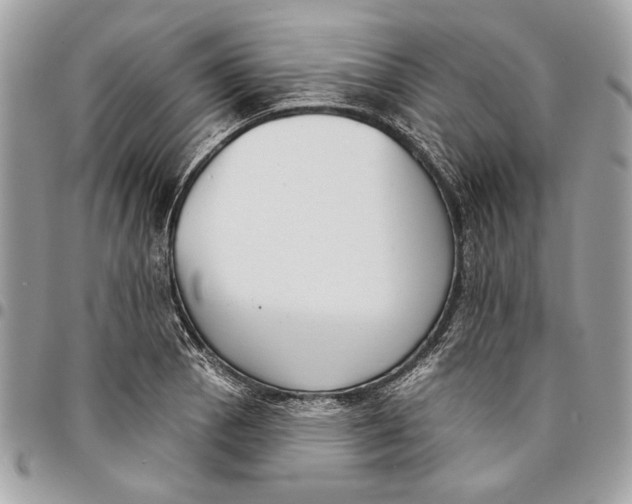 X0000096211129200802081455