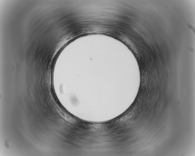 X0000096211130200802081455