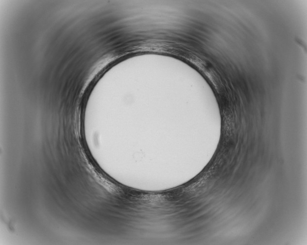 X0000096211131200802081455