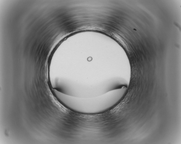 X0000096211132200802081455