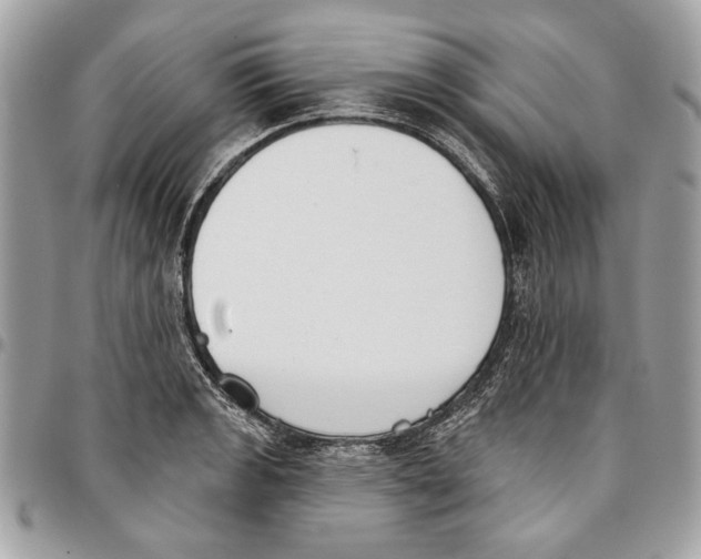 X0000096211133200802081455