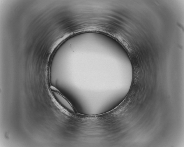 X0000096211134200802081455