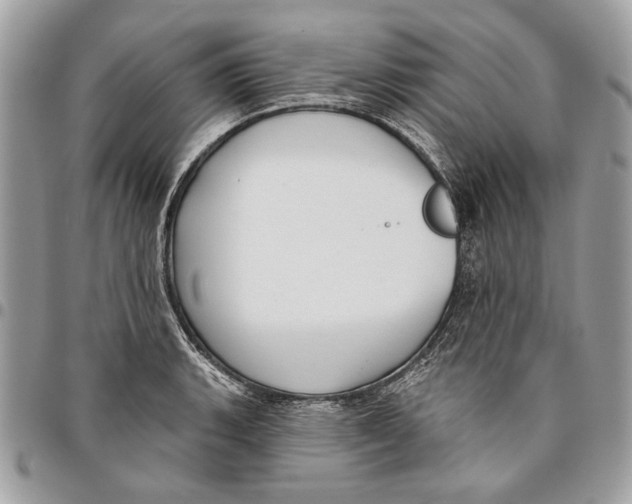 X0000096211135200802081455