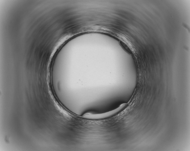 X0000096211136200802081455