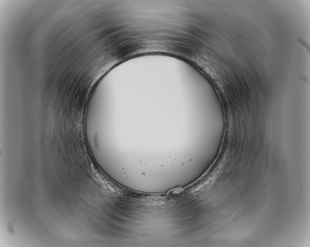 X0000096211137200802081455