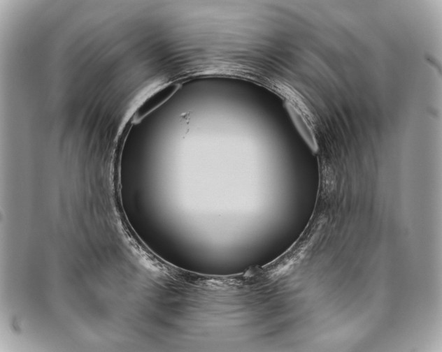 X0000096211138200802081455