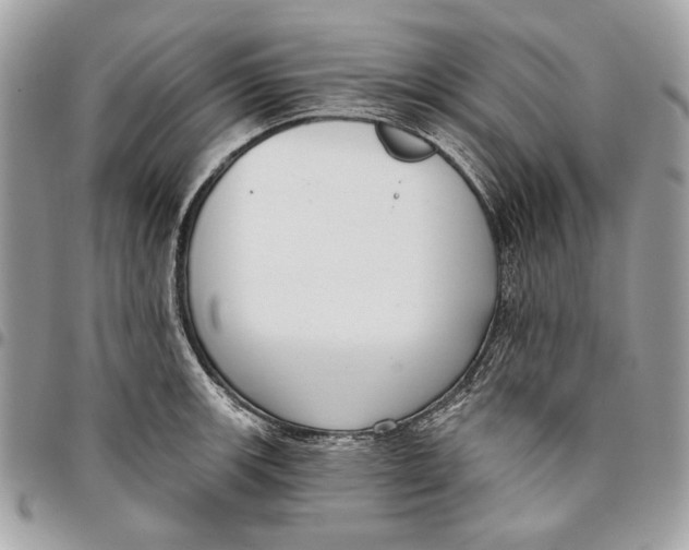 X0000096211139200802081455