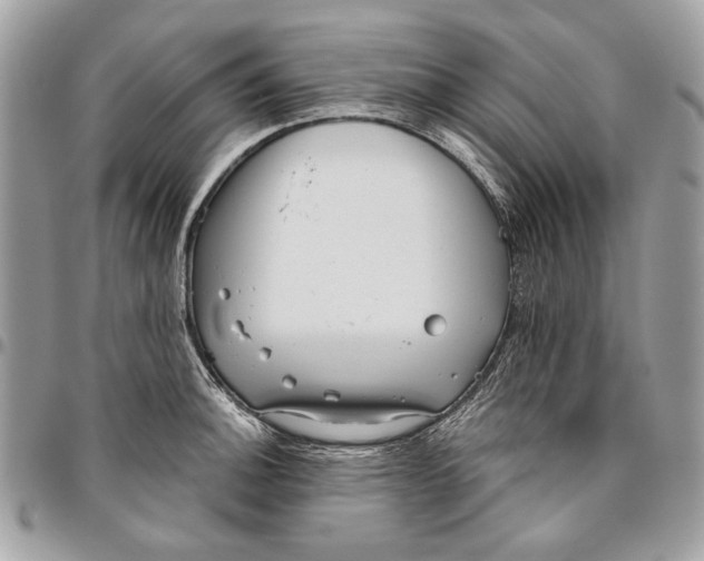 X0000096211140200802081455