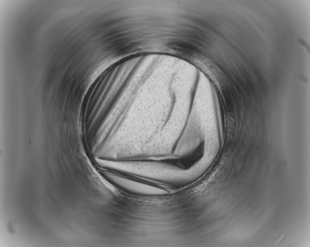 X0000096211141200802081455