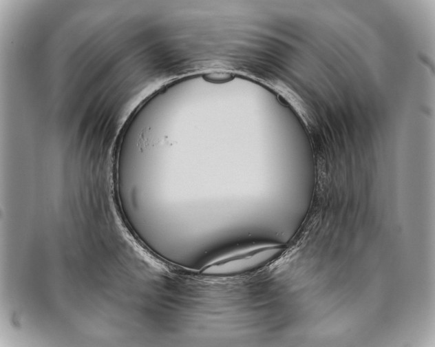 X0000096211142200802081455