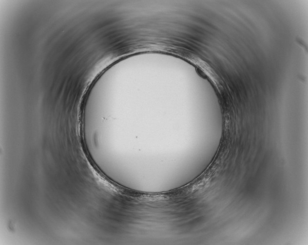 X0000096211143200802081456