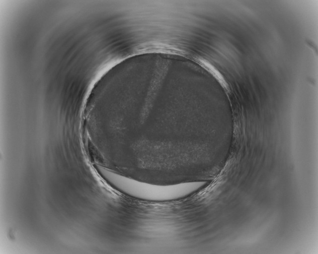 X0000096211144200802081456