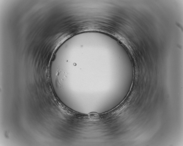 X0000096211145200802081456