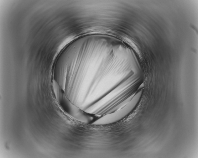 X0000096211146200802081456