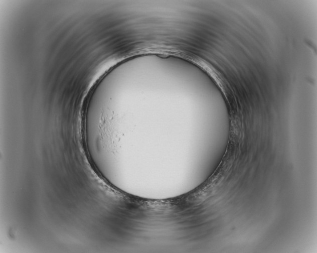 X0000096211147200802081456