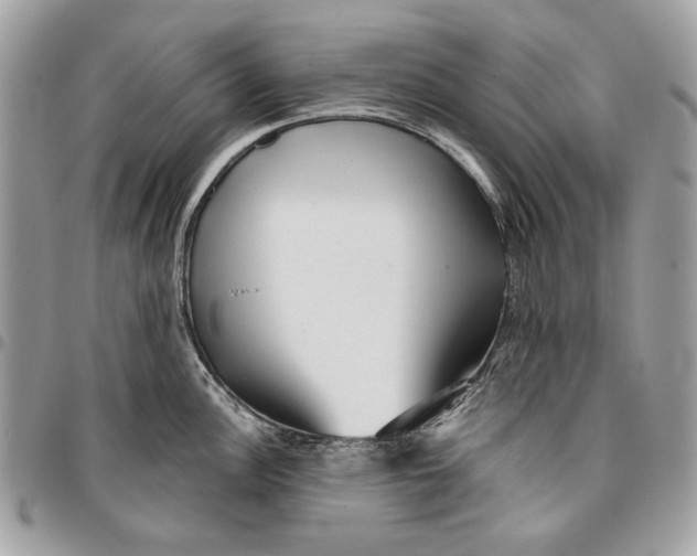 X0000096211148200802081456