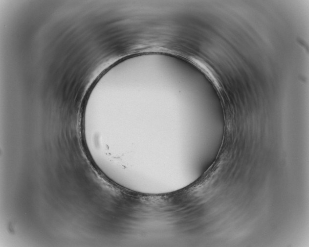 X0000096211149200802081456